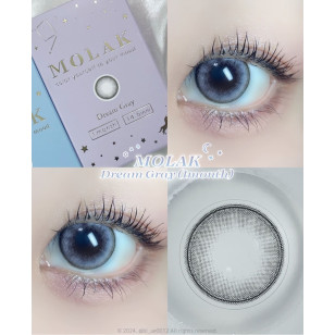 MOLAK 1day Dream Gray モラクワンデー ドリームグレー